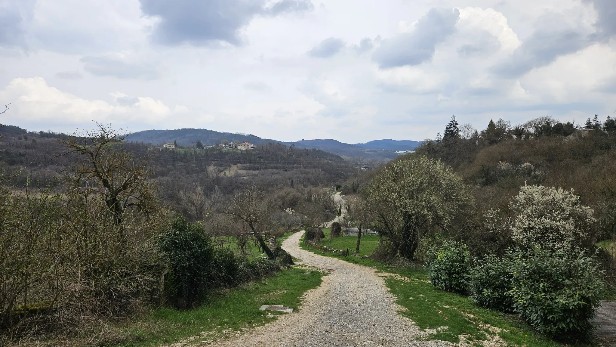 Main photo of Pazin-Beram
