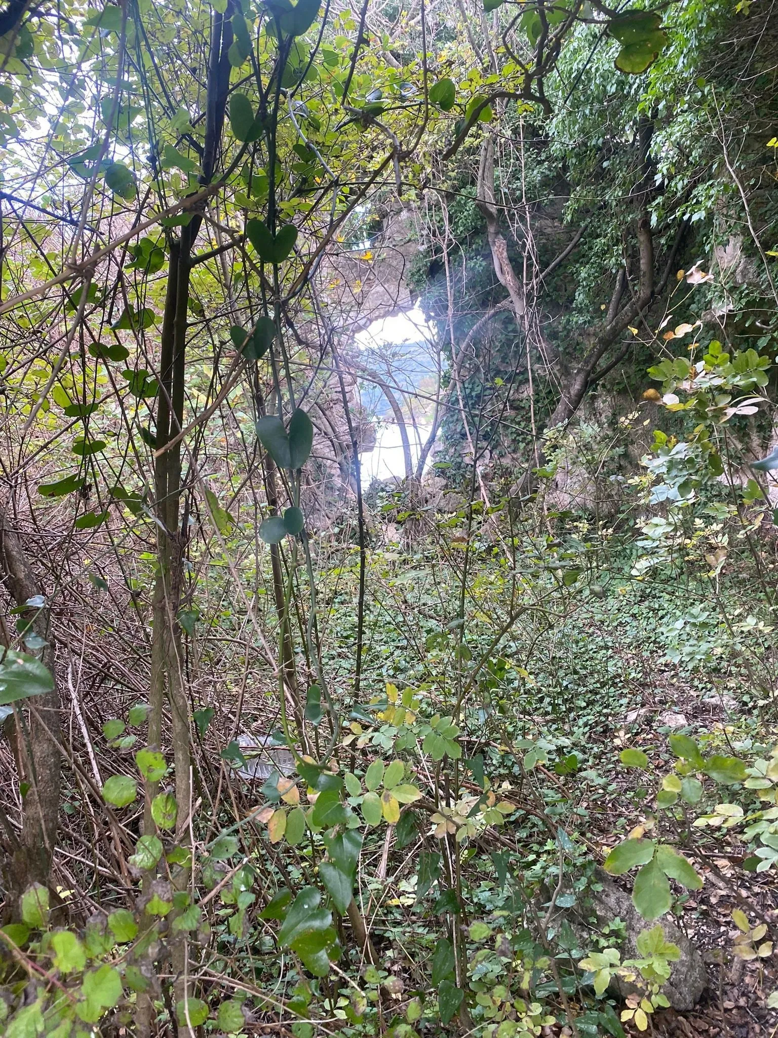 Main photo of Rajki - Gočan